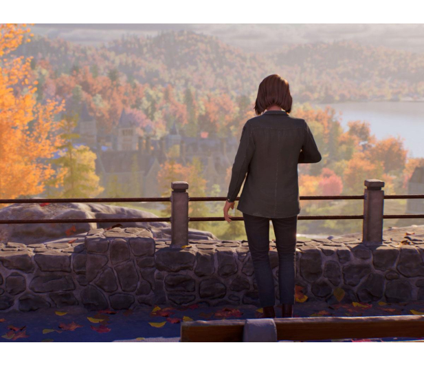 PlayStation Life is Strange Reunion - 1500659 - zdjęcie 4